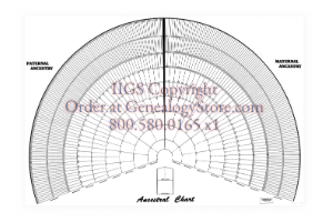 Large 10 Generations Ancestral Wall Chart