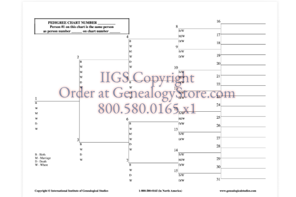 5 Generation Chart