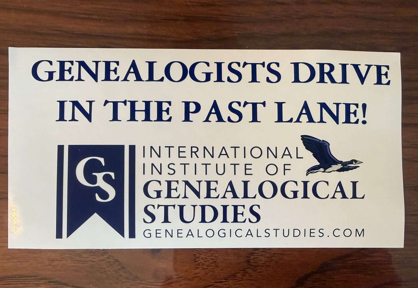 Genealogists Drive in the Past Lane Sticker