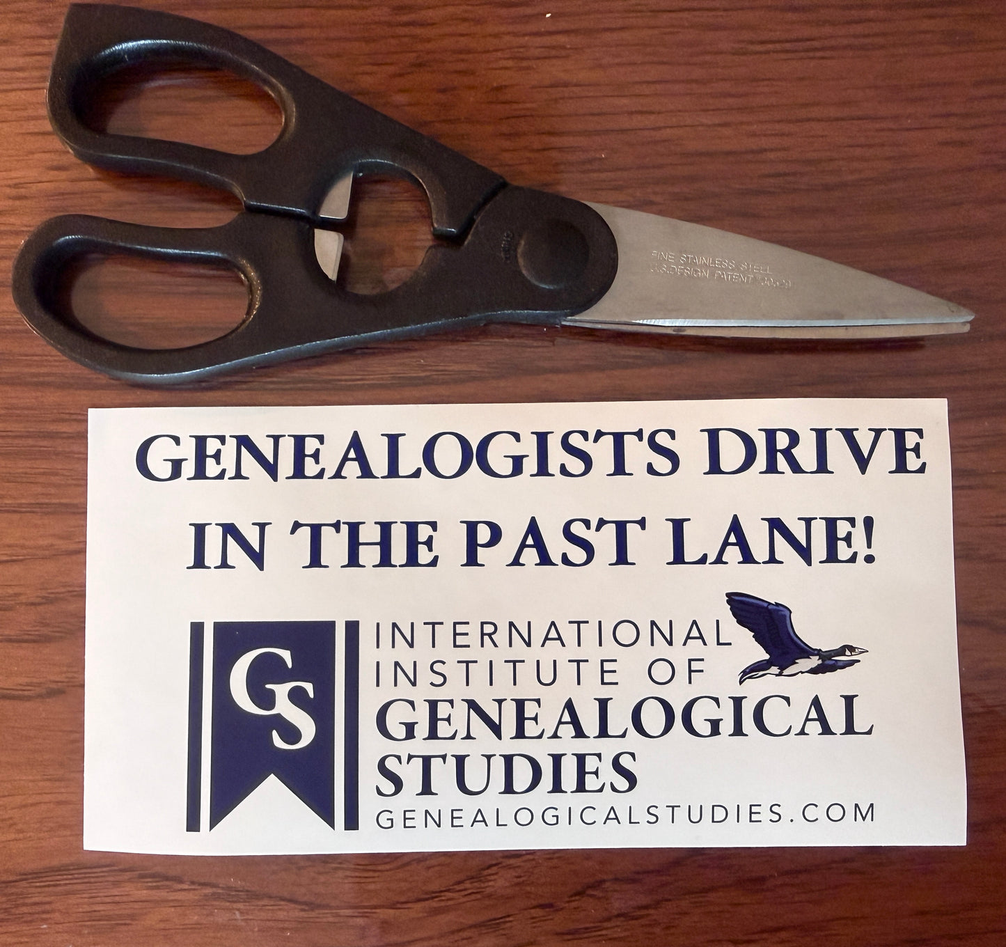 Genealogists Drive in the Past Lane Sticker
