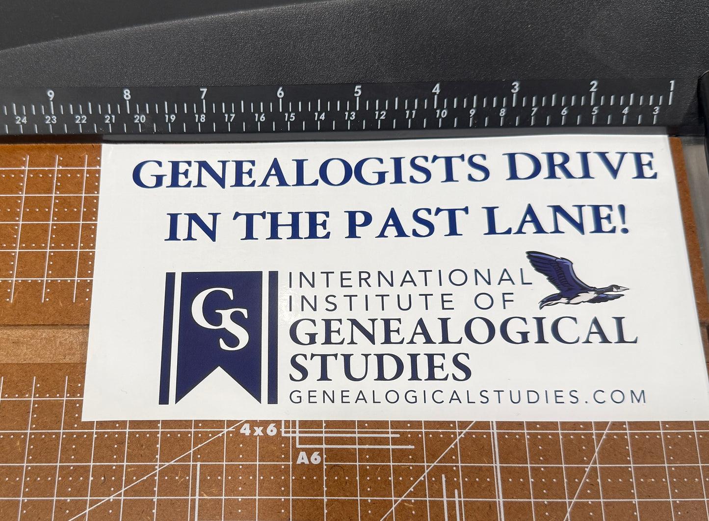 Genealogists Drive in the Past Lane Sticker