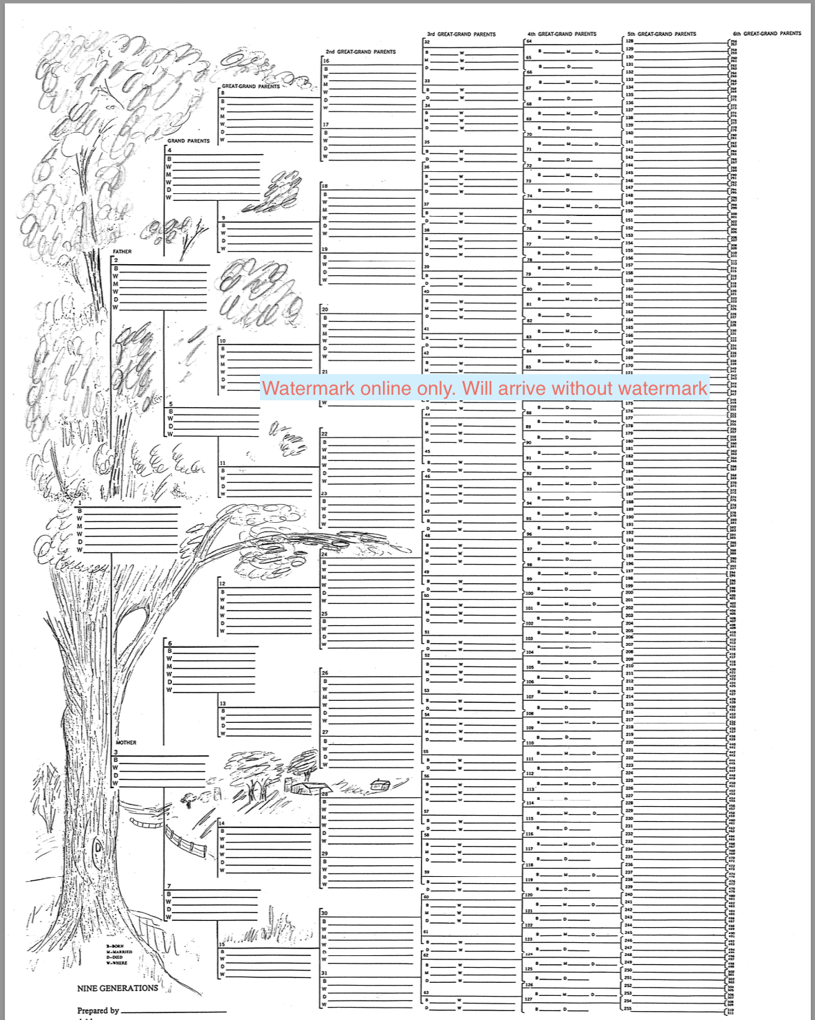 Large 9 Generation Ancestral Wall Chart
